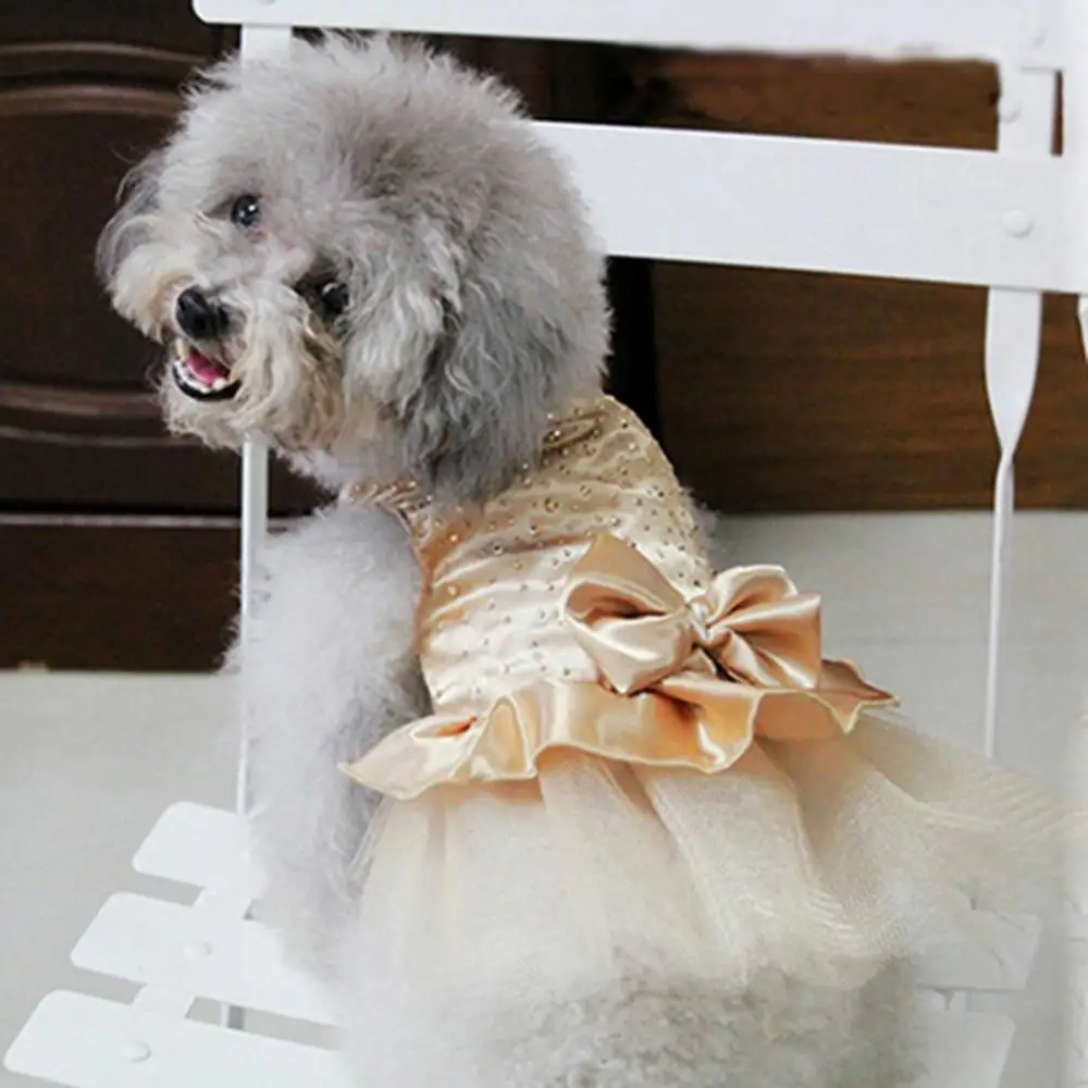 Krilo Oblačila Oblačila Ljubek Pes Obleke Hišnih Kuža Bowknot Gaza Bleščica Princesa Pes Dobave Slike 1